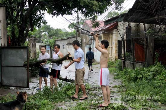 Người dân dọc các tuyến đường chung tay dọn dẹp sau bão. Ảnh: Quang An