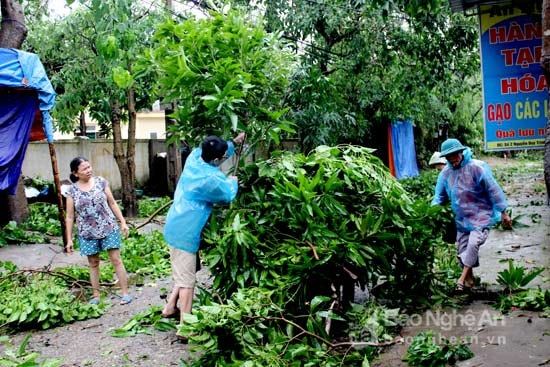 Công nhân môi trường cùng nhân dân dọn cây xanh ngã đổ, đảm bảo đi lại thuận lợi. Ảnh: Quang An