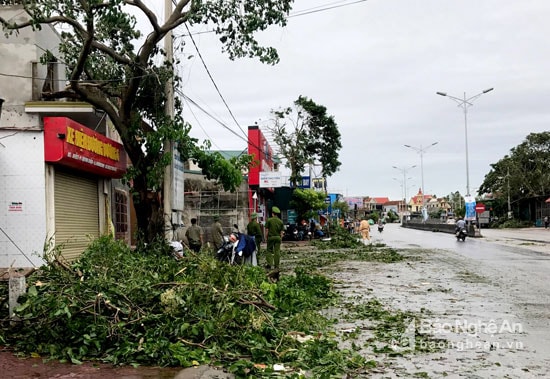 Thông tin ban đầu thị xã Hoàng Mai có 1 người chết, các thiệt hại đang được tiếp tục thống kê. Ảnh: Thu Hiền