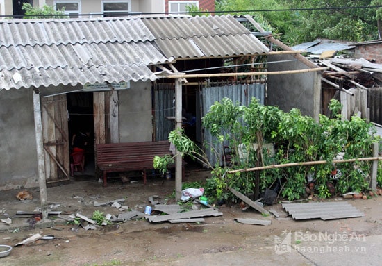 Xã Hưng Hòa gãy đổ cây xanh, cột điện. Ảnh: Quang An