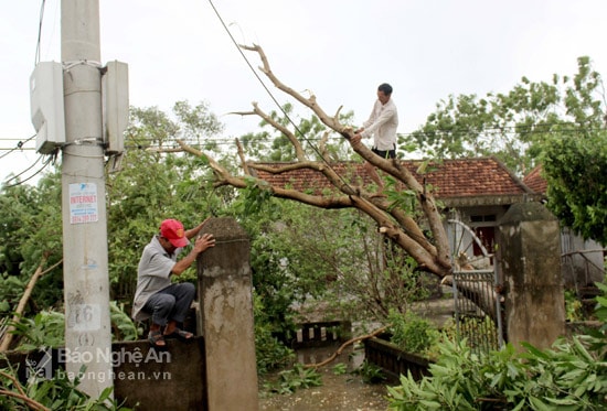 Xã Hưng Hòa gãy đổ cây xanh, cột điện. Ảnh: Quang An