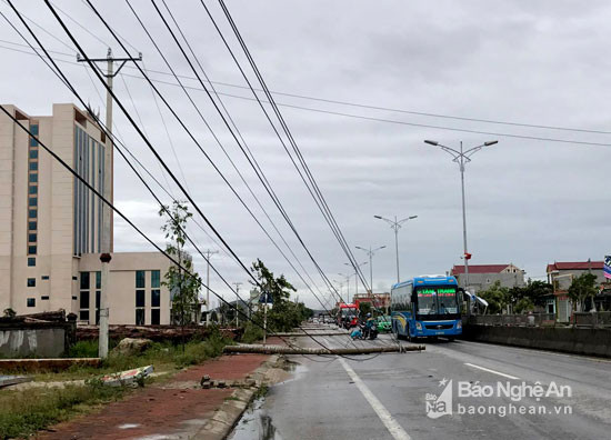 Hàng nghìn cột điện bị gãy đổ sau bão số 2, làm mất điện trên địa bàn toàn tỉnh Nghệ An. Công tác khắc phục sẽ kéo dài. Ảnh Thu Hiền