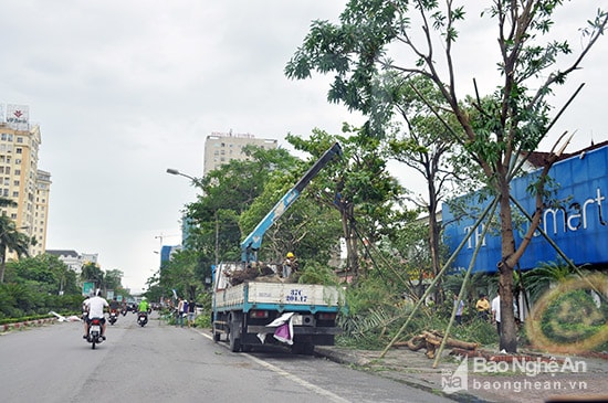 Các lực lượng tập trung khắc phục hậu quả sau mưa bão. Ảnh: Thu Huyền