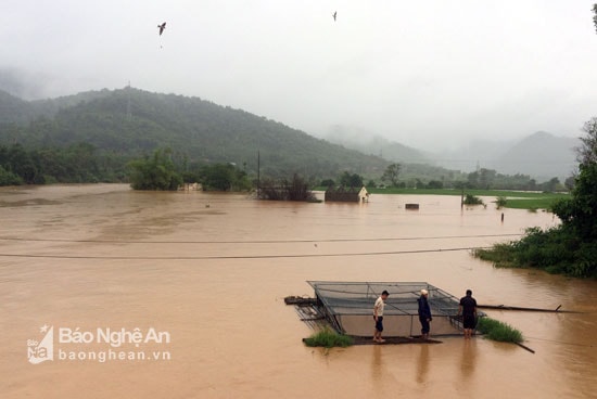 Trong ngày 17/7, ở vùng cao Nghệ An có mưa to đến rất to. Nước từ các sông suối dâng lên nhanh, thêm vào đó các nhà máy thủy điện cũng bắt đầu xả lũ khiến nhiều khu vực bị thiệt hại nặng nề. Ảnh: Đào Thọ