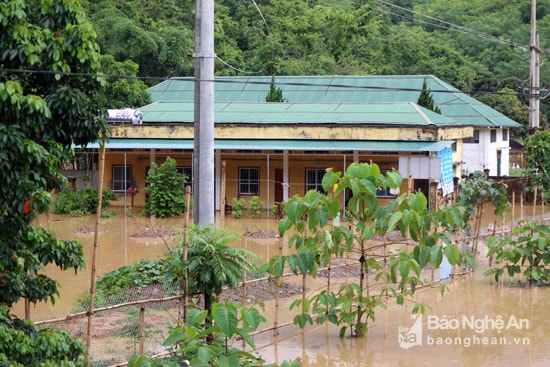 Tại địa bàn xã Thạch Giám (Tương Dương), nhà một hộ dân bị ngập sâu trong nước lũ. 