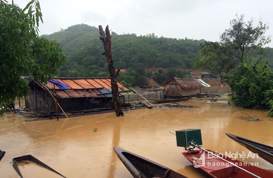 Ông Lương Văn Cường ở bản Cánh Tráp (xã Tam Thái) cho biết, gia đình ông có 4 lồng bè nuôi cá nhưng sáng nay bị trôi mất 3 lồng do lũ cuốn, trong đó có 1 lồng bị mất hoàn toàn số cá bên trong với hơn 2 tạ. Ảnh: Đào Thọ 