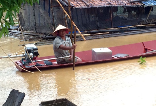 Hiện tại, các hộ nuôi cá lồng nơi đây đang cố gắng neo lại lồng đề phòng nước lũ tiếp tục dâng cao. Tuy nhiên theo phản ánh, do lũ về nên rất nhiều cá trong các lồng đã bị chết. Ảnh: Đào Thọ