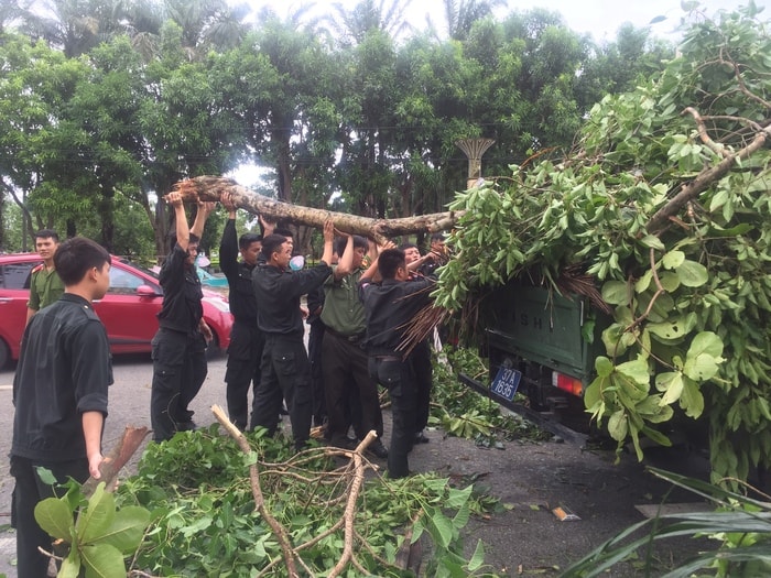 Lực lượng CANA dọn dẹp cây cối trên địa bàn tại TP Vinh. Ảnh: Anh Tuấn