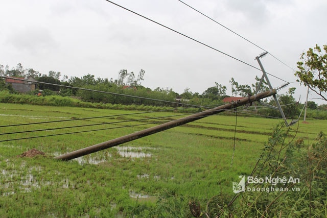 Cột điện 35 KV bị gió bão xô đổ ở Quỳnh Lưu -Ảnh: Thanh Toàn