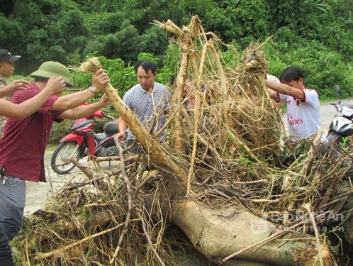 Người dân Con Cuông khắc phục các vật cản qua sông suối sau bão. Ảnh: Bá Hậu