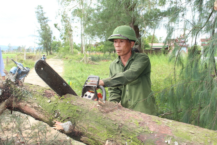 Sau một ngày làm việc, anh Lê Văn Quân kiểm tra, bảo dưỡng cưa, chuẩn bị cho ngày tiếp theo.