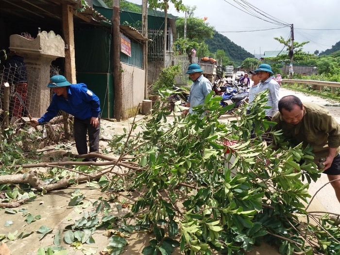 Hàng trăm cây cối cũng được chặt bỏ, tạo hành lang thông thoáng cho các tuyến đường. Ảnh: Lữ Phú