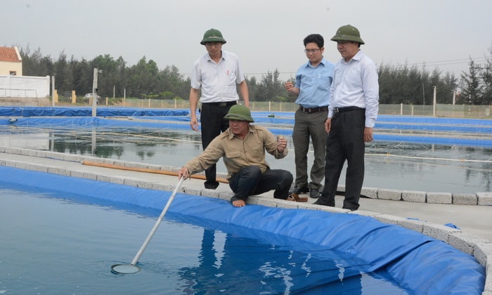 Mô hình sản xuất ngao giống của ông Thái Bá Khang tại xã Quỳnh Thọ (Quỳnh Lưu). Ảnh: P.V