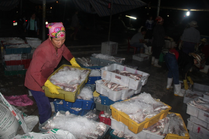 Phụ nữ tham gia bốc cá thuê tại cảng cá.  Ảnh: Tiến Hùng