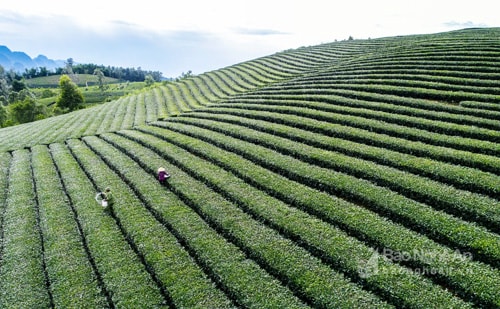 Những năm gần đây, nhiều hộ nông dân ở Anh Sơn đã mạnh dạn đầu tư xây dựng các mô hình trang trại, gia trại, hướng vào sản xuất các sản phẩm chủ lực của huyện như: Chăn nuôi lợn, trâu, bò, gà, trồng cây ăn quả, cây chè, mía với quy mô lớn, có giá trị kinh tế cao. 