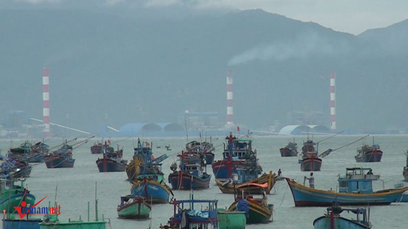 nhận chìm 1 triệu khối bùn, Hòn Cau, Bình Thuận, nhiệt điện Vĩnh Tân 1, ô nhiễm môi trường, ô nhiễm môi trường biển,