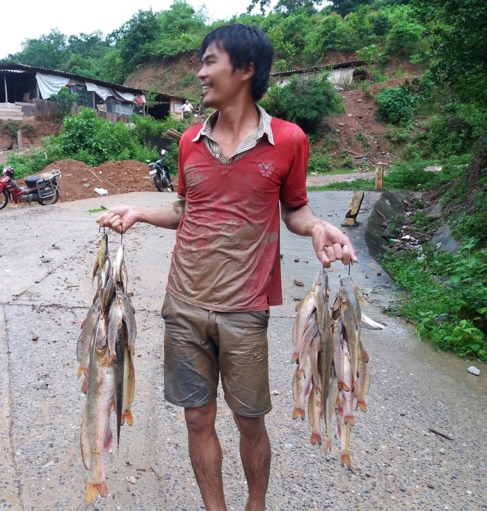 bắt cá lăng trên sông nâm mnpw