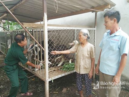 Thương lái thu mua dê tại gia đình. Ảnh Trần Đình Hà