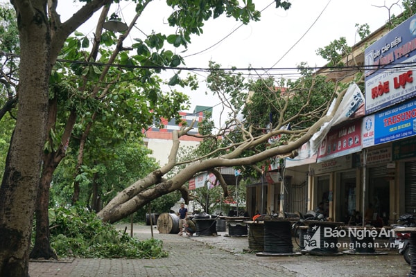 Nghệ An là tỉnh chịu thiệt hại nặng nề nhất sau bão số 2. Ảnh. Tiến Hùng.