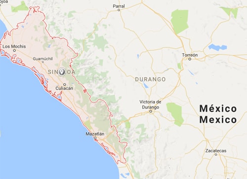 Máy bay đã rơi xuống khu vực đường cao tốc Culiacán-Imala, cách sân bay Culiacán ở bang Sinaloa 24 km.