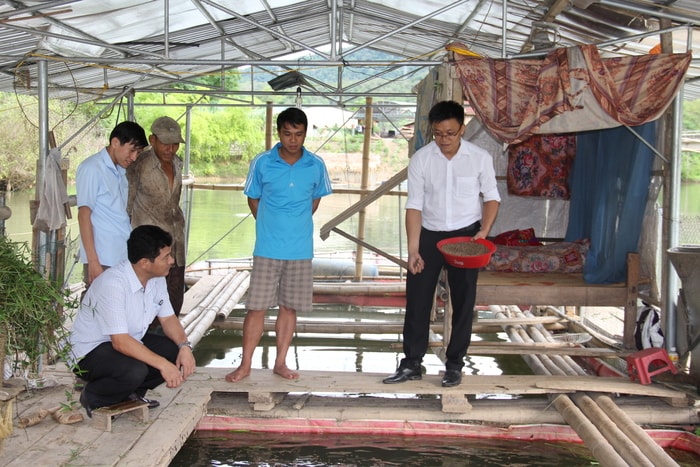 Phó Chủ tịch xã Tam Thái (Tương Dương) Vi Viết Kiều (ngoài cùng, bên phải) thăm mô hình nuôi cá lồng của người dân. Ảnh: Hoài Thu