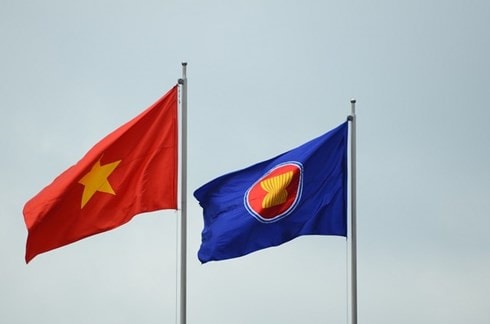 su tham gia cua viet nam o asean nguon luc nho, dong gop lon  hinh 1