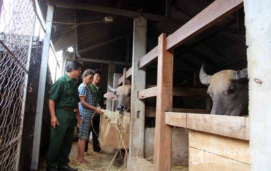 Vợ chồng ông Phạm Bá Cảnh