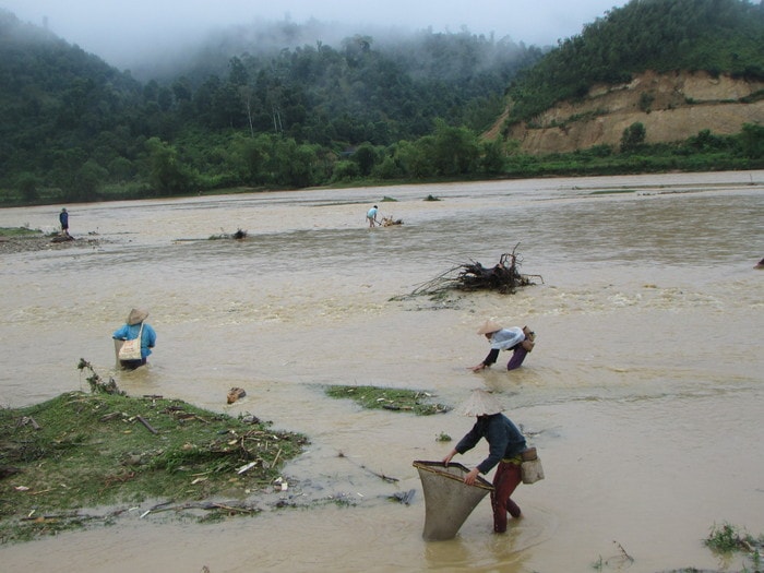 vớt cá trên sông Giăng