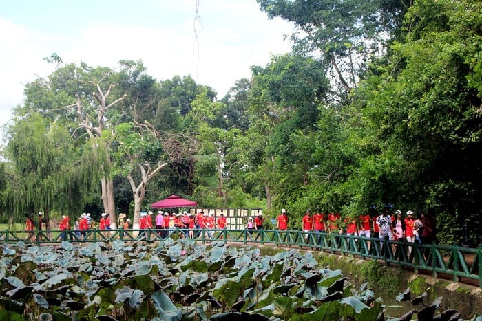 Ngày Thương binh liệt sỹ, từ sáng sớm, ở làng Sen đã có nhiều đoàn khách rạng rỡ trong sắc áo cờ đỏ sao vàng.