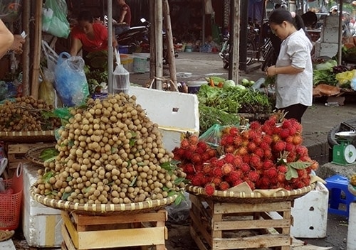 Đội lốt nhãn Hưng Yên