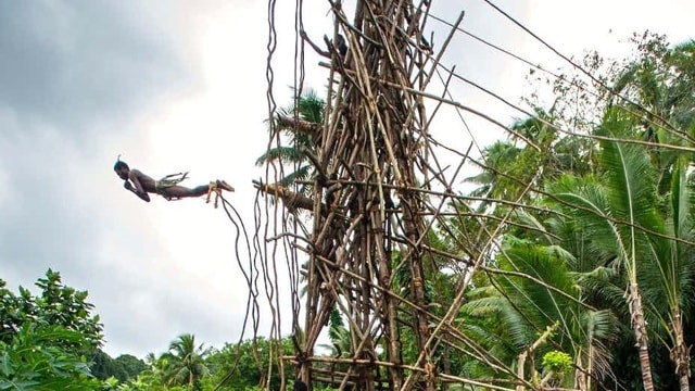 Nhảy cắm đầu xuống đất là tập tục hãi hùng của bộ tộc Pentecost ở Cộng hòa Vanuatu. Các chàng trai thực hiện tập tục này để đánh dấu sự trưởng thành. Bộ tộc Pentecost sẽ dựng một tháp gỗ cao gần 30m tại một ngọn đồi dốc. Kế đến, các chàng trai trẻ tự buộc dây quanh hai mắt cá chân của mình và thực hiện cú nhảy từ trên tháp gỗ xuống. Cú nhảy này được gọi là Naghol hoặc Gol. Người dân Pentecost tin rằng, khi tóc của những thanh niên tham gia nghi thức này chạm càng gần mặt đất bên dưới tháp gỗ càng tốt vì điều đó đồng nghĩa với vụ mùa khoai lang sắp tới sẽ bội thu.