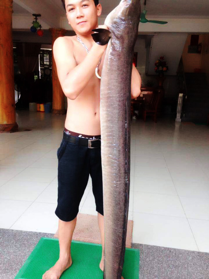 Con cá lệch dài 2m, nặng gần 20kg. Ảnh: NVCC