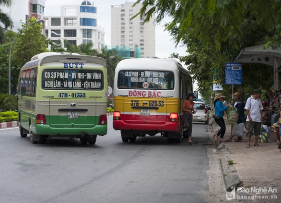 Chỉ riêng 3km từ Bệnh viện Nội tiết Nghệ An đến chợ Vinh có đến 10 điểm dừng đón trả khách, trung bình mỗi điểm cách nhau chưa đến 300m. Có điểm cách ngã tư chưa đến 50m và cách điểm bên kia ngã tư gần 200m. Ảnh: Thành Cường.