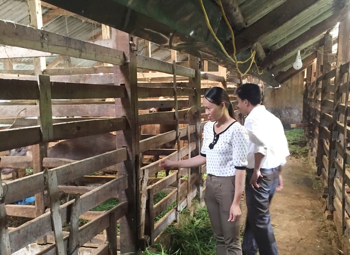 Trang trại nuôi hươu, nai của gia đình ông Nguyễn Cảnh Thắng ở thôn 5, xã Quỳnh Tân (Quỳnh Lưu). Ảnh: Đức Dương