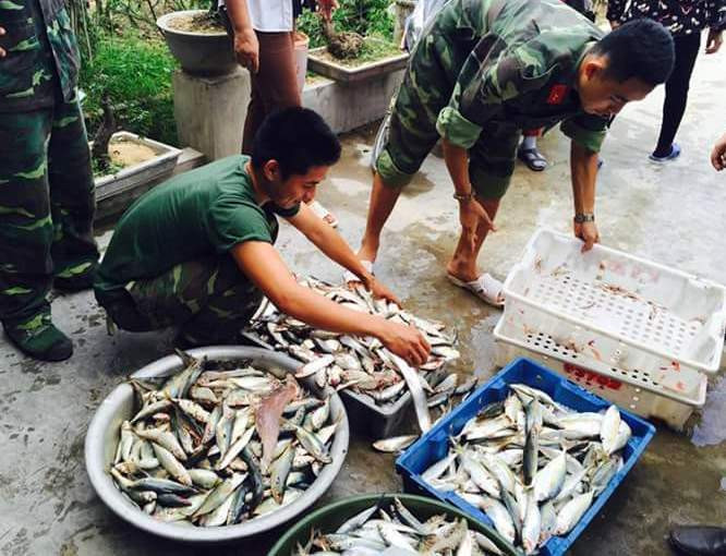 Cá vừa đi đánh ngoài biển về được các chị em Quỳnh Lập mang đến cho bộ đội cải thiện bữa ăn. Ảnh: Đình Hà