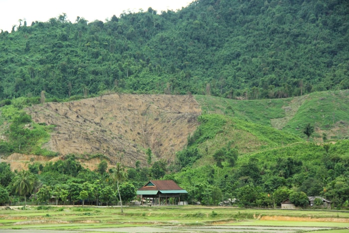 Bản Cao Vều 1 (xã Phúc Sơn, Anh Sơn), phía sau trước đây vốn là rừng nứa nơi voi sinh sống.  Ảnh: Tiến Hùng