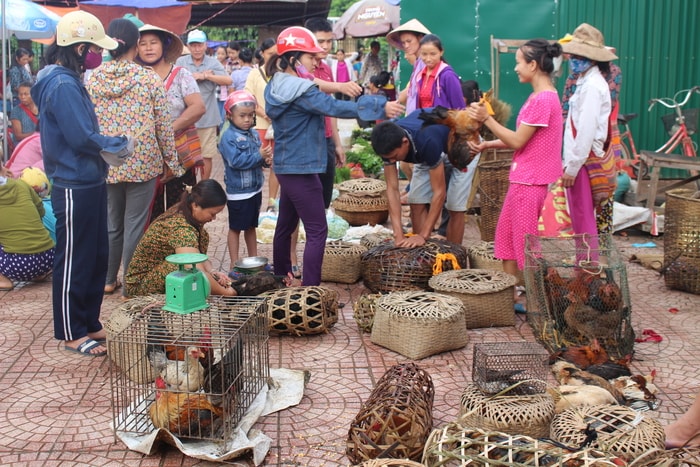 Gà được chăn thả trên đồi được bày bán rất nhiều, mặt hàng này cũng được nhiều thực khách ưu chuộng. Giá bán mỗi kg giao động từ 130-150.000/kg. Ảnh: Đình Tuân