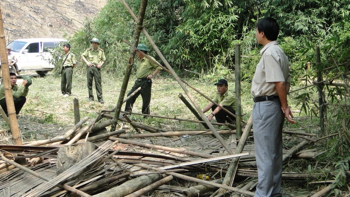 Lán trại của anh Vi Văn Sinh (trú xã Lục Dạ, Con Cuông) bị voi dẫm nát, anh Sinh bị quật chết tại chỗ. (Ảnh. VQG Pù Mát cung cấp)