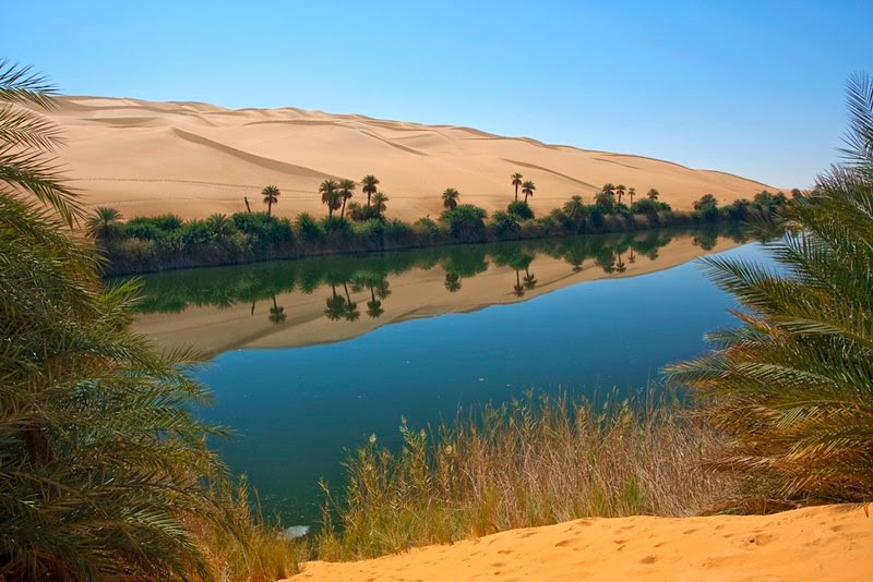 Đến giờ, một phần của Sahara vẫn còn màu mỡ. Những dòng sông ngầm chảy ra từ dãy Atlas (như Siwa, Kufra, Timimoun và Bahariva) trồi lên mặt đất, tạo ra các ốc đảo xanh tươi. Ảnh: Dualwarez.