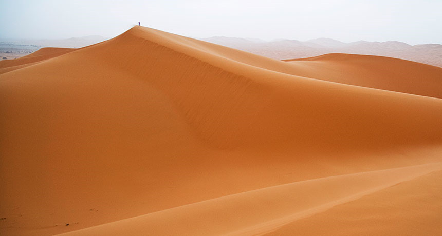 Sahara ngày càng mở rộng. Từ năm 1962 tới nay, sa mạc này đã rộng thêm gần 650.000 km2. Các phần của Sahara thuộc sở hữu của 11 quốc gia, gồm Libya, Algeria, Ai Cập, Tunisia, Chad, Morocco, Eritrea, Niger, Mauritania, Mali, và Sudan. Ảnh: Science News.