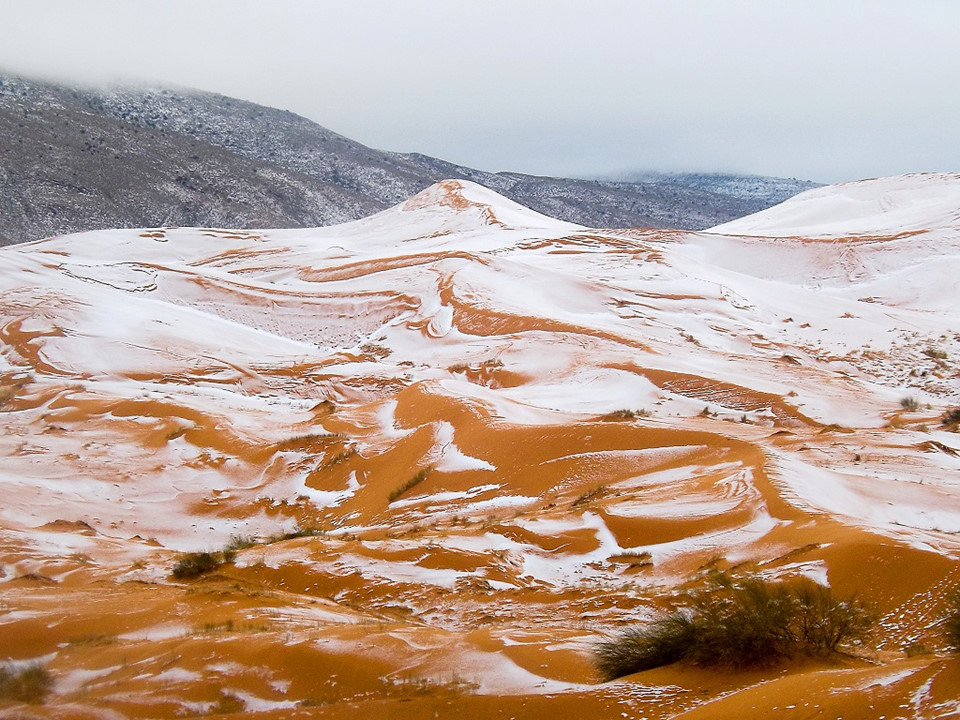 Từ tháng 12 tới tháng 1, nhiệt độ ban đêm ở Sahara thường xuyên xuống dưới mức đóng băng. Một số đụn cát có thể được tuyết bao phủ. Ảnh:Independent.