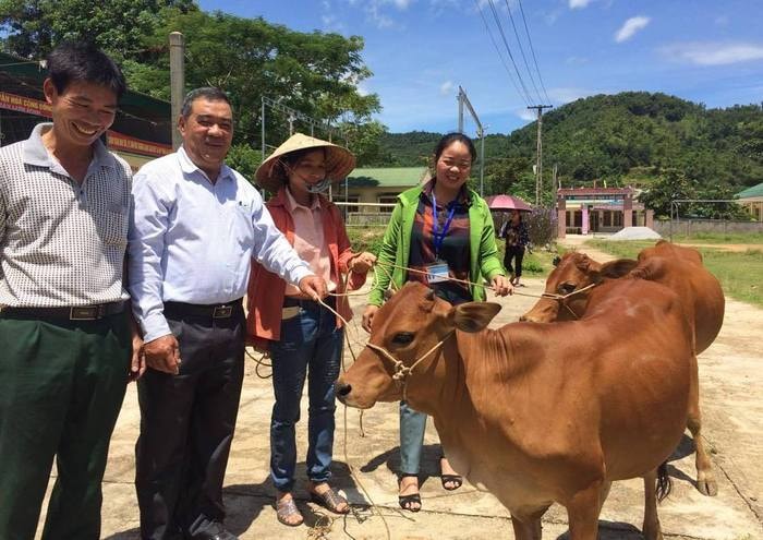  Đại diện Ban trao bò cho các hộ dân. Ảnh: Bá Hậu