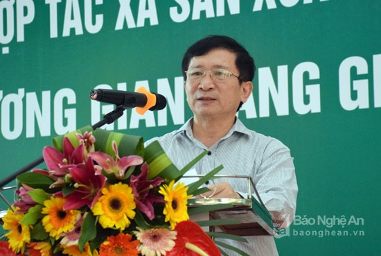Đồng chí Đinh Viết Hồng - Phó Chủ tịch UBND tỉnh phát biểu ý kiến, cho rằng: Sự ra đời của liên hiệp HTX Sản xuất và tiêu thụ nông sản thực phẩm an toàn Nghệ An là góp phần vào sự phát triển của nông nghiệp địa phương. Hoạt động của Lieen hiệp HTX nhằm tạo việc làm, tăng thu nhập cho các xã viên, tạo các mặt hàng nông sản sạch, an toàn cho người tiêu dùng. Vì vậy, Liên hiệp HTX cần phối hợp tốt để cùng nhau phát triển, đó là xu hướng tất yếu của HTX hiện nay. Ảnh: Xuân Hoàng