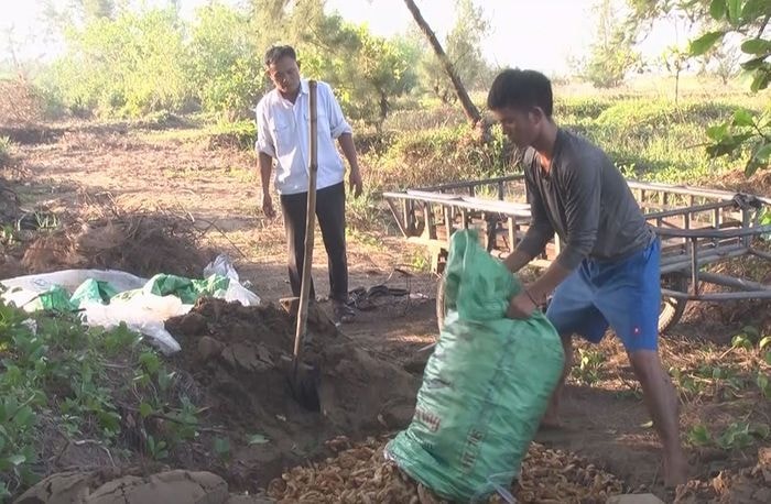 Trạm Chăn nuôi và Thú y Diễn Châu tiêu hủy số nội tạng động vật không rõ nguồn gốc. Ảnh: Thanh Tùng