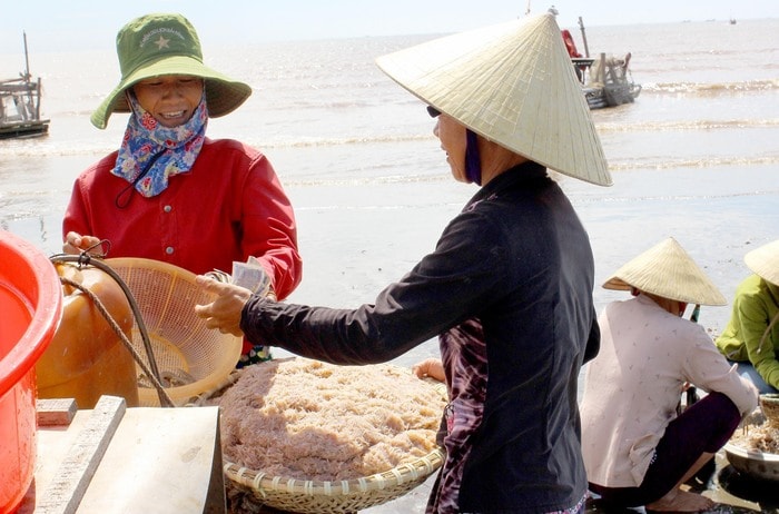 Người dân bán ruốc cho thương lái ngay tại biển khi được giá, trung bình mỗi tạ ruốc có thể thu về hơn 1 triệu đồng. Ảnh: Quang An