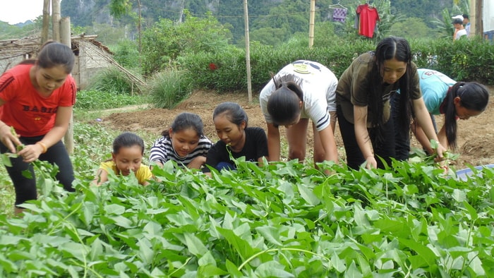 Còn các học sinh nữ tự trồng và thu hoạch rau phục vụ bữa ăn hàng ngày đảm bảo an toàn thực phẩm. Ảnh: Tường Vi