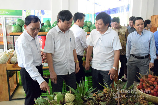 Ngay sau khi khai trương gian hàng giới thiệu sản phẩm Xanh Mart tại số 13 - Nguyễn Sỹ Sách - TP Vinh, khách hàng đến tham quan, chọn mua sản phẩm tại gian hàng 