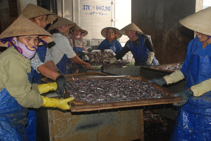 Phát triển kinh tế biển ở xã Quỳnh Lập (thị xã Hoàng Mai). Ảnh: Thanh Lê