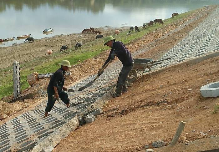 Đơn vị thi công đang đang khẩn trương kè mái đê ở các điểm Cẩm Thái 1 và 2. Ảnh: Đình Hà