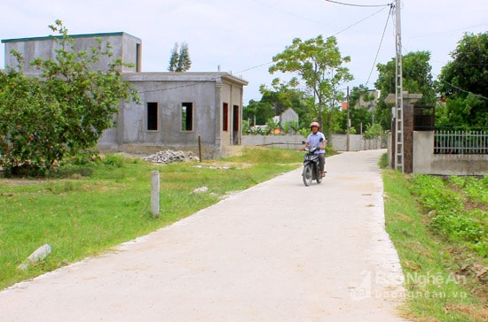 Đường NTM xóm giáo Phong Anh, xã Nghi Phong hôm nay. Ảnh: Xuân Hoàng